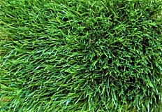 Трава искусственная "Deco" 50 КМ2