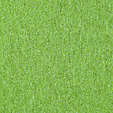 Innovflor Basis 06
