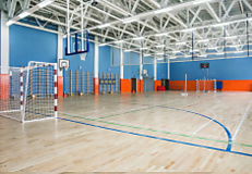 Desoma Sport Universal (Китай)